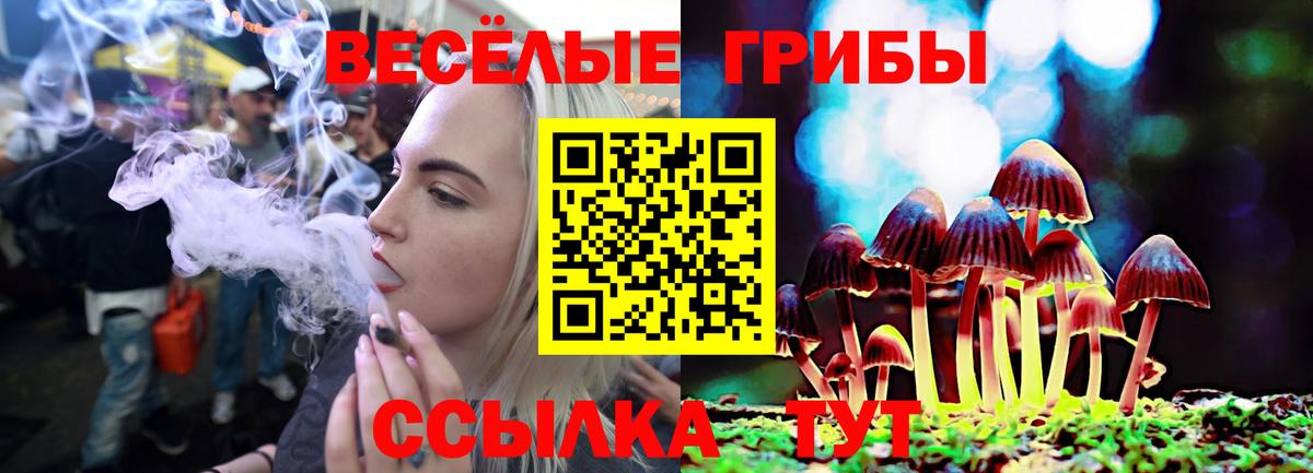 Галлюциногенные грибы Cubensis  Псилоцибиновые грибы мухоморы  Вход с VPN  Нерюнгри 
